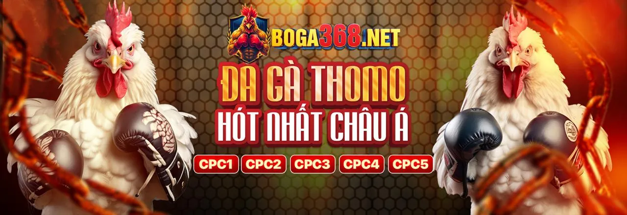 Giao dịch tài chính an toàn tại 5pro đăng nhập