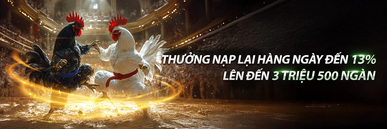 Hình ảnh chính về đăng nhập 5pro