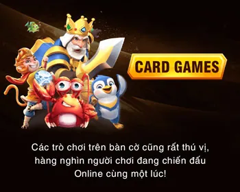 Trải nghiệm người dùng 5pro